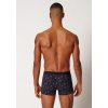 SKINY pánske panty 2-balenie Cotton Multipack S24 - treedecoration (Farba treedecoration selection-s705, Veľkosť XXL)