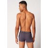 SKINY pánske panty 2-balenie Cotton Multipack B25 - anthracite stripe (Farba anthracite stripe selection-s228, Veľkosť XXL)