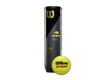 wrt116200 4 us open official extra duty 4ball can w ball.png.cq5dam.web.1200.1200