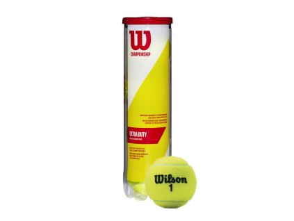 WRT110000 4 Championship Extra Duty 4Ball Can YE w Ball.png.cq5dam.web.1200.1200