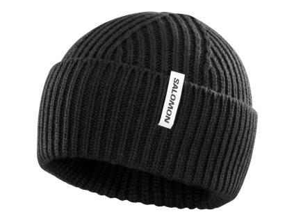 LC2303100 0 GHO snowbirdbeanie deep rendition JPG 1200px max