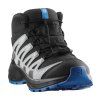 LI6866$ L47729800 Alternate 1