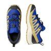 LI6867$ L49108700 Alternate 4