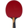 butterfly timo boll carbon back