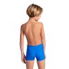arena Feel Boys' Dynamo R Shorts