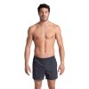 arena Men's Bywayx R Beach Shorts grey