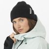 LC2303100 1 MOD snowbirdbeanie deep rendition JPG 1200px max