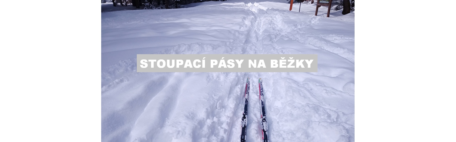 Stoupací pásy na běžky