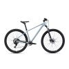 CTM Rambler 1.0 29"