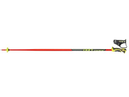 Atomic Redster G9 + Atomic X 12 TL, 17/18 TEST - Ski Sport Atomic Redster G9 + Atomic X 12 TL, 17/18 TEST - Ski Sport