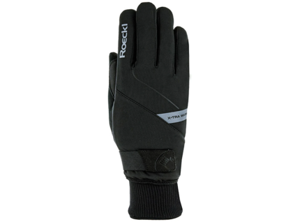 ROECKL LAPPI GTX
