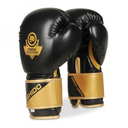 Boxerské rukavice DBX BUSHIDO B-2v10 (Velikost 8oz.)