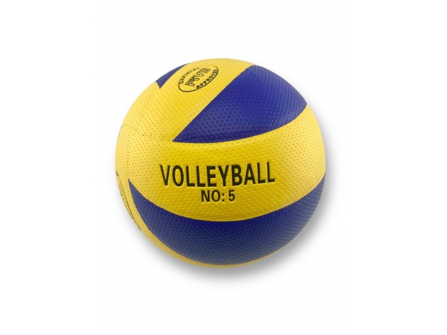 Volejbalový míč vel. 5, žluto-modrý