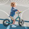 cariboo magnesiumpro modry2