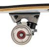 skateboard skateboard story eagl 5