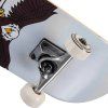 skateboard skateboard story eagl 6