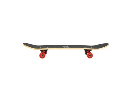 img (8)