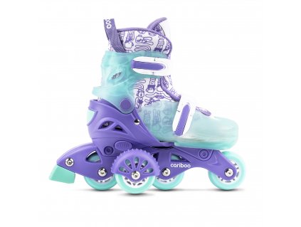 Cariboo StepOne Purple Mint 3000x3000 1