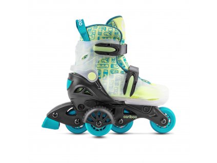 Cariboo StepOne Green Blue 3000x300 1