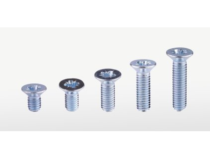 SNB šrouby M6, zapuštěná hlava, 10 mm, 50 ks