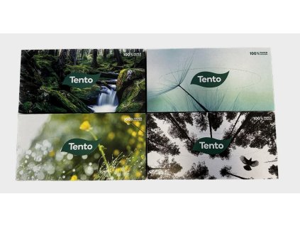 Tento 4x70ks celuloza 2 vr. kapesníky 6414300101192