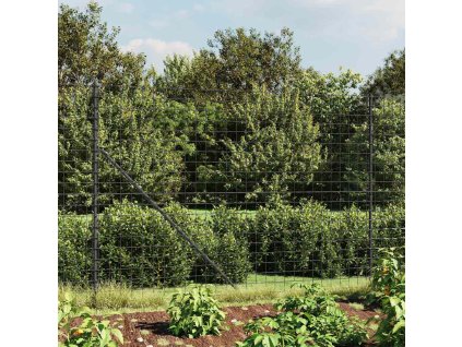 Drátěný plot s kotevními hroty antracitový 2,2 x 25 m 154287
