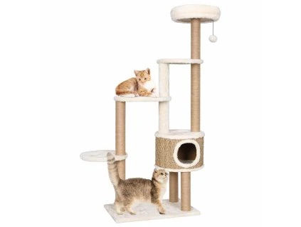 8720286062425 a en hd 1