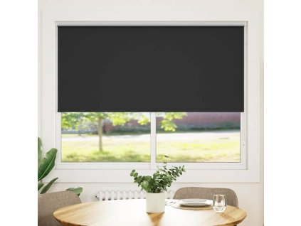 Zatemňovací roleta 164,4 x 175 cm, šířka látky 160 cm, černá 240143