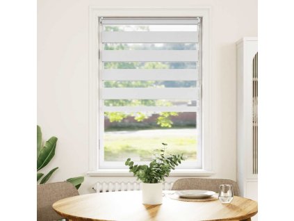 Zebrová roleta 50,9x100 cm Šířka látky 46,7 cm bílá 240186