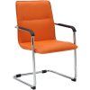 Freischwinger Seattle Kunstleder (Farbe schwarz)