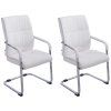 2er Set Freischwinger XXL Anubis Kunstleder (Farbe grau)