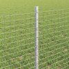 Plot s sloupkem Stříbrná 0,6 x 50 m Ocel 3336390