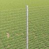 Plot s sloupkem Stříbrná 1 x 50 m Ocel 3336398