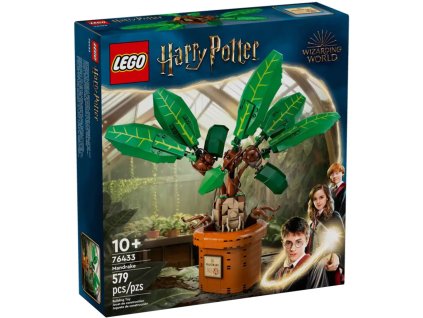 obrázek 2024 06 06 095819511