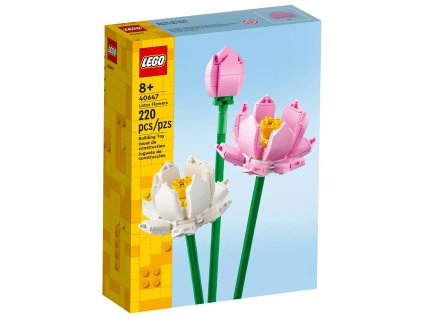 obrázek 2025 07 09 214257495