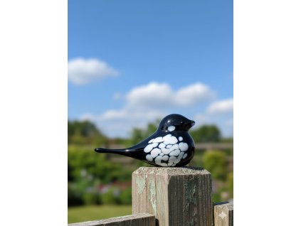 skleneny ptacek cernobily1