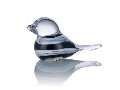 skleneny ptacek cerny