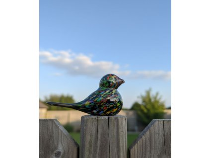 skleneny ptacek multicerny