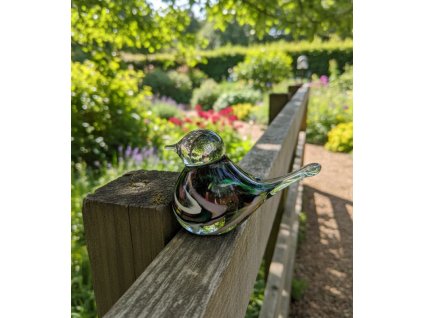 skleneny ptacek multi3