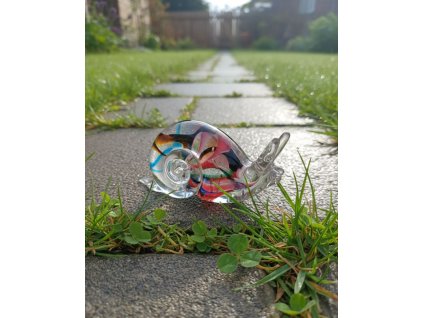 skleneny snek multi transp