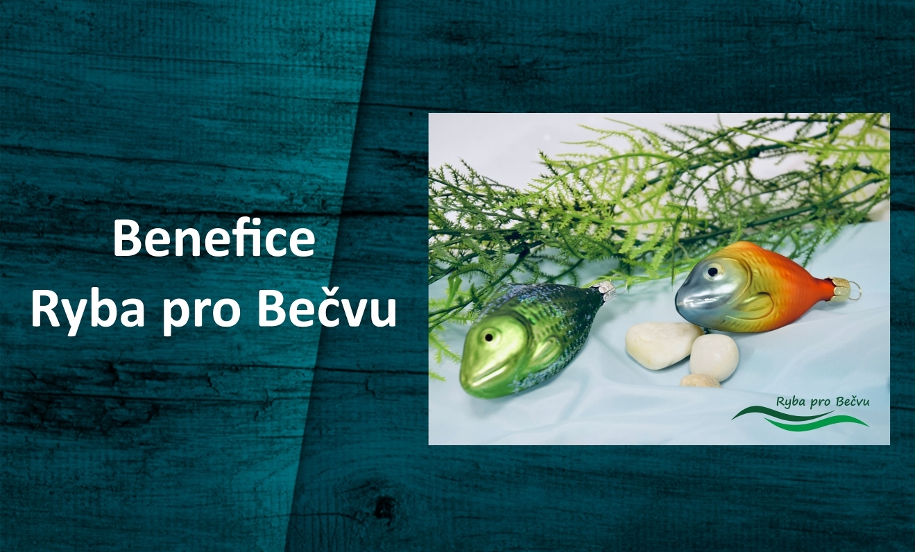 BENEFICE RYBA PRO BEČVU