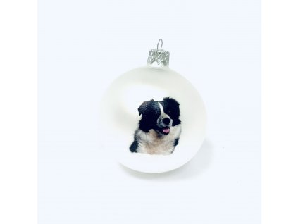 Skleněná vánoční ozdoba bílá s textem na přání, CHARLIE , de:  , domácí mazlíčci, 1 ks