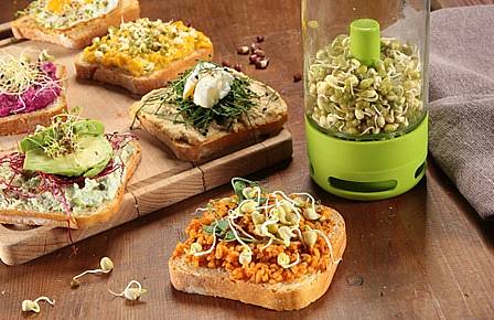 Jak na klíčení semínek v klíčící sklenici