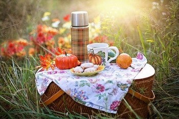 autumn-4579561_640_600x400_450x300_350x233