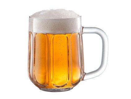 Tescoma MyBEER Icon 0,5 l