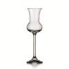 Crystalex sklenice Gastro Grappa 85 ml 6 ks