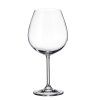 Crystal Bohemia Sklenice na víno Colibri 650 ml 6 ks
