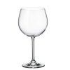Crystal Bohemia sklenice na víno Colibri 570 ml 6 ks