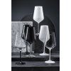 kolekce Crystalex Sklenice Black&White