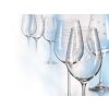 Crystalex Sklenice na víno VIOLA ELEMENTS 450 ml